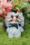  ODI STUDIO Fecoco Victorian Sheep Series” Plush Blind Box [ODS-OF25001]