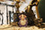  ODI STUDIO Fecoco Victorian Sheep Series” Plush Blind Box [ODS-OF25001]