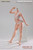 Jiaou Doll 1/6 Detachable Feet Female Body with Curvy Hip & Muscular Legs No Head [JOQ-20C]
