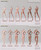 Jiaou Doll 1/6 Detachable Feet Female Body with Curvy Hip & Muscular Legs No Head [JOQ-20C]