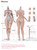 TBLeague 1/6 Seamless Body with Stainless Steel Skeleton Small Breast Size [PL-SRCD01-02]