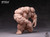 Wind Toys 1:12 Super Action Muscle Body [WIN-FMW009-12]