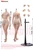 TBLeague Super-Flexible Seamless Slender Waist and Full Hips Bodies [PL-TBDD01-DF01]