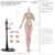 Mojoy Studio 1:6 Slender Girlish Action Figure Body Series [MJ-AF01]