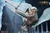 TBLeague 1/6 Aurora Angel Figure [PL-2026-233C]