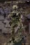 Mini Times Toys 1/6 US Army Special Force Boxed Figure [MT-M048]