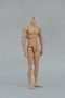 [ZY-B005] ZYTOYS Muscular 12" Tall Action Figure Body 