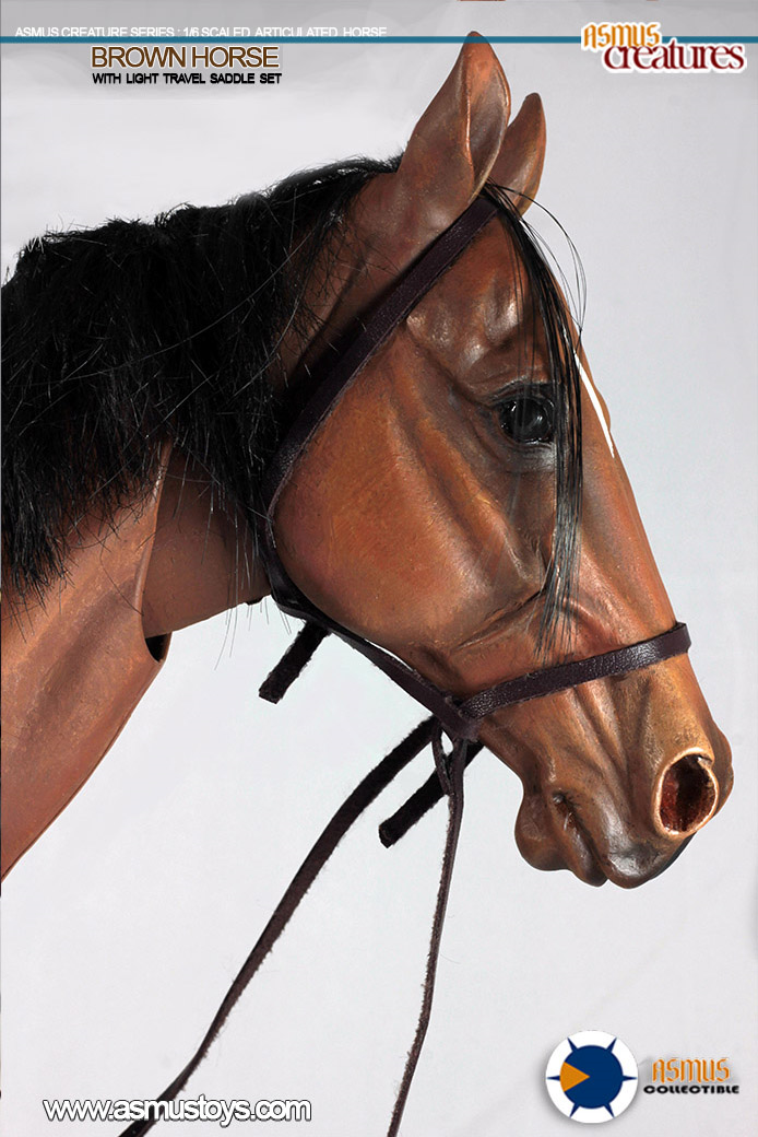 ASM-CRE002] Asmus Toys 1:6 Scale Articulated Brown Horse - EKIA