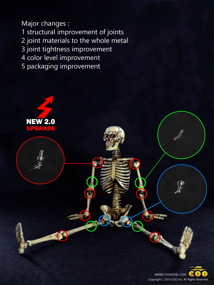 CM-SK10] COO Model Death (Red Edition) 1:6 Skeleton Body - EKIA