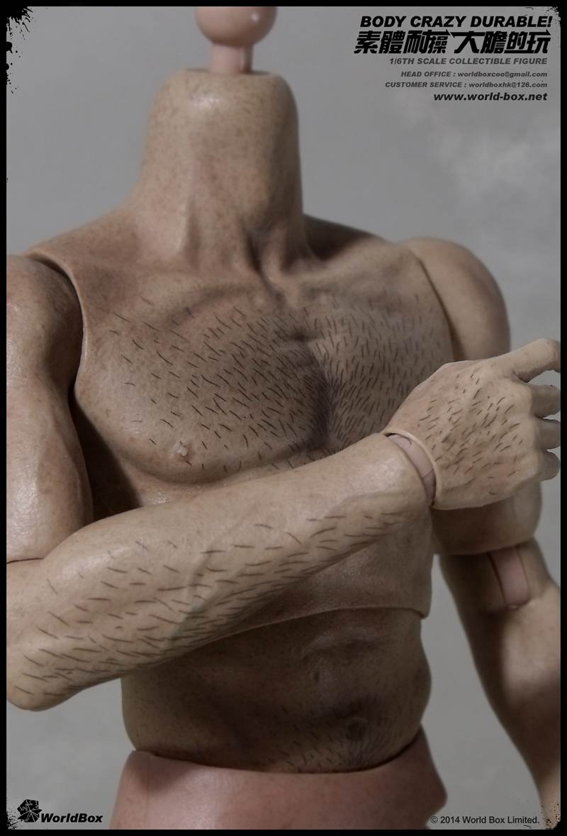 WB-AT008] World Box Articulated Hairy 1:6 Action Figure Body