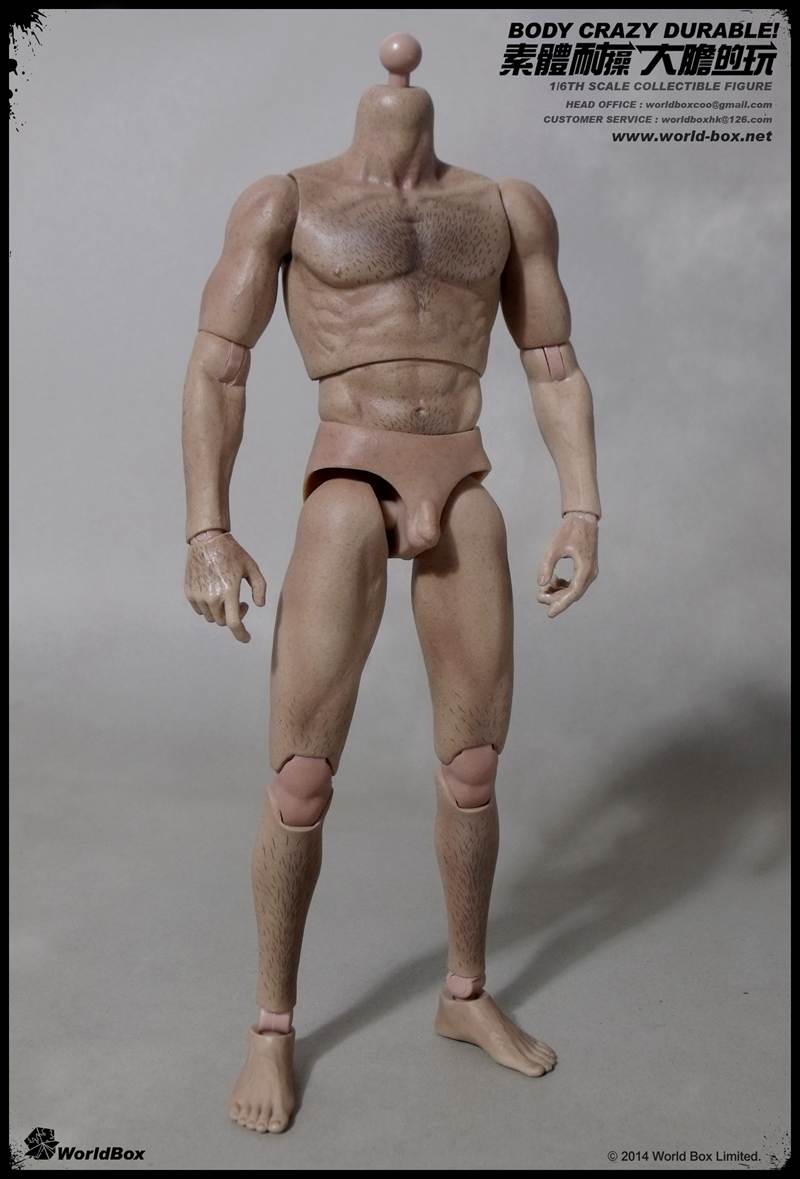 WB-AT008] World Box Articulated Hairy 1:6 Action Figure Body