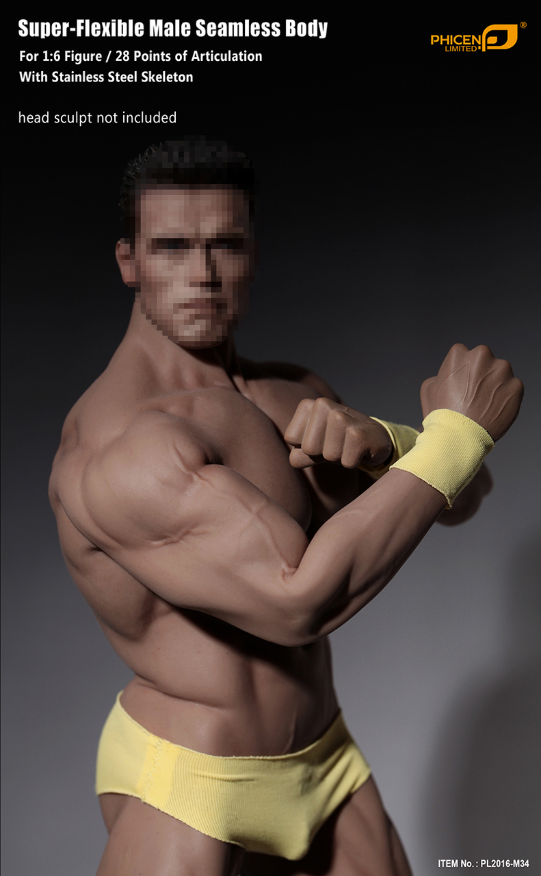 PL-2016-M34] Phicen Limited Seamless Male Bodybuilder Figure