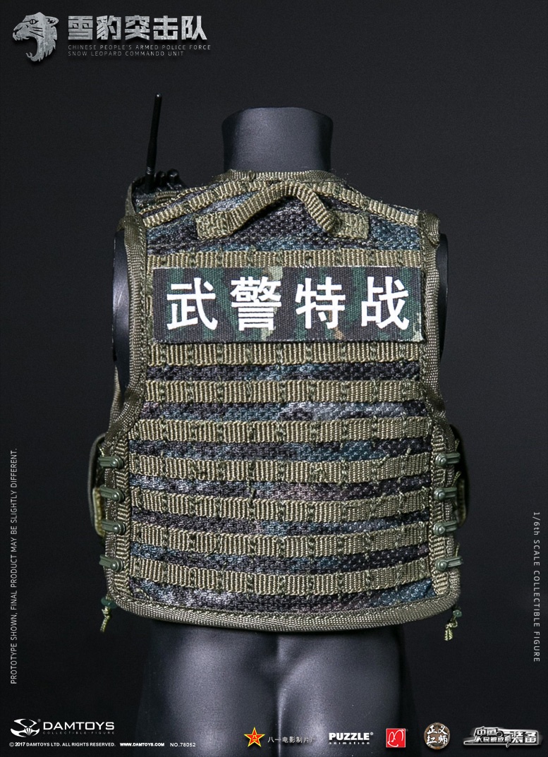 【DAMTOYS】78052 1/6 CHINESE PEOPLE&#39;S ARME Damtoys 78052 Chinese Armed Police Force Snow Leopard