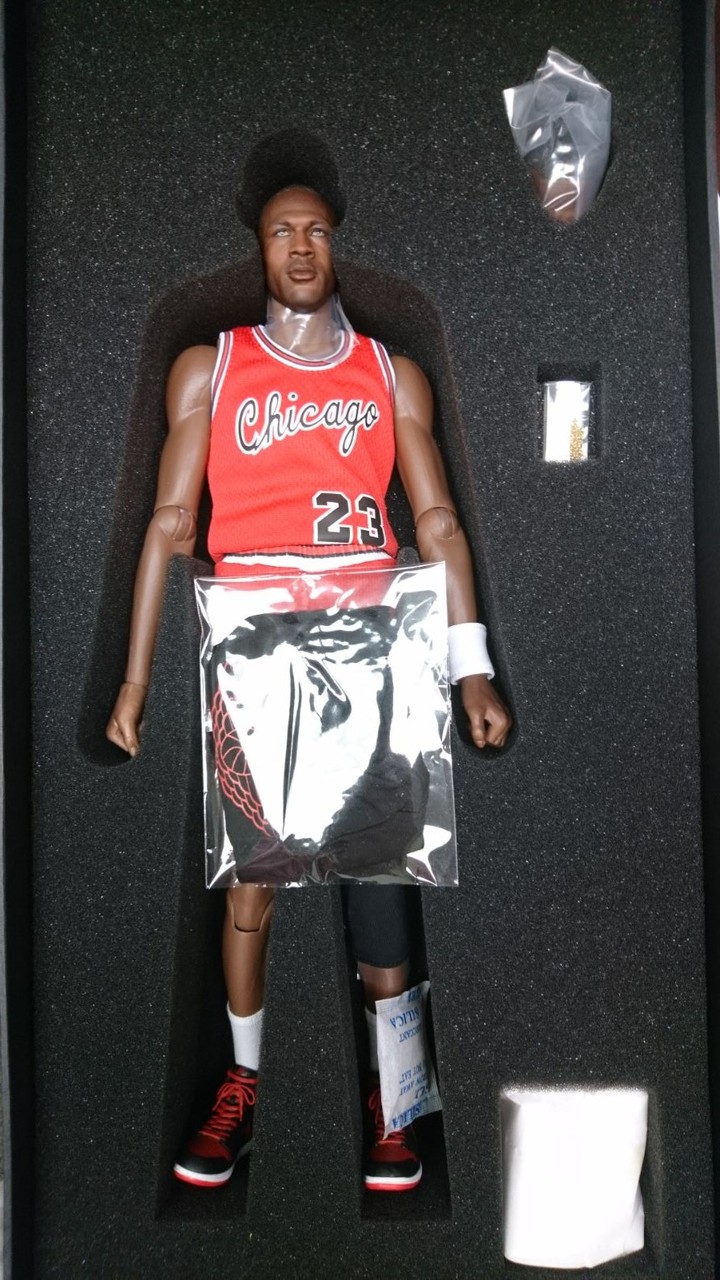 MIV-1704] ENTERBAY x MiVi Rookie Michael Jordan AJ1 “WINGS” with
