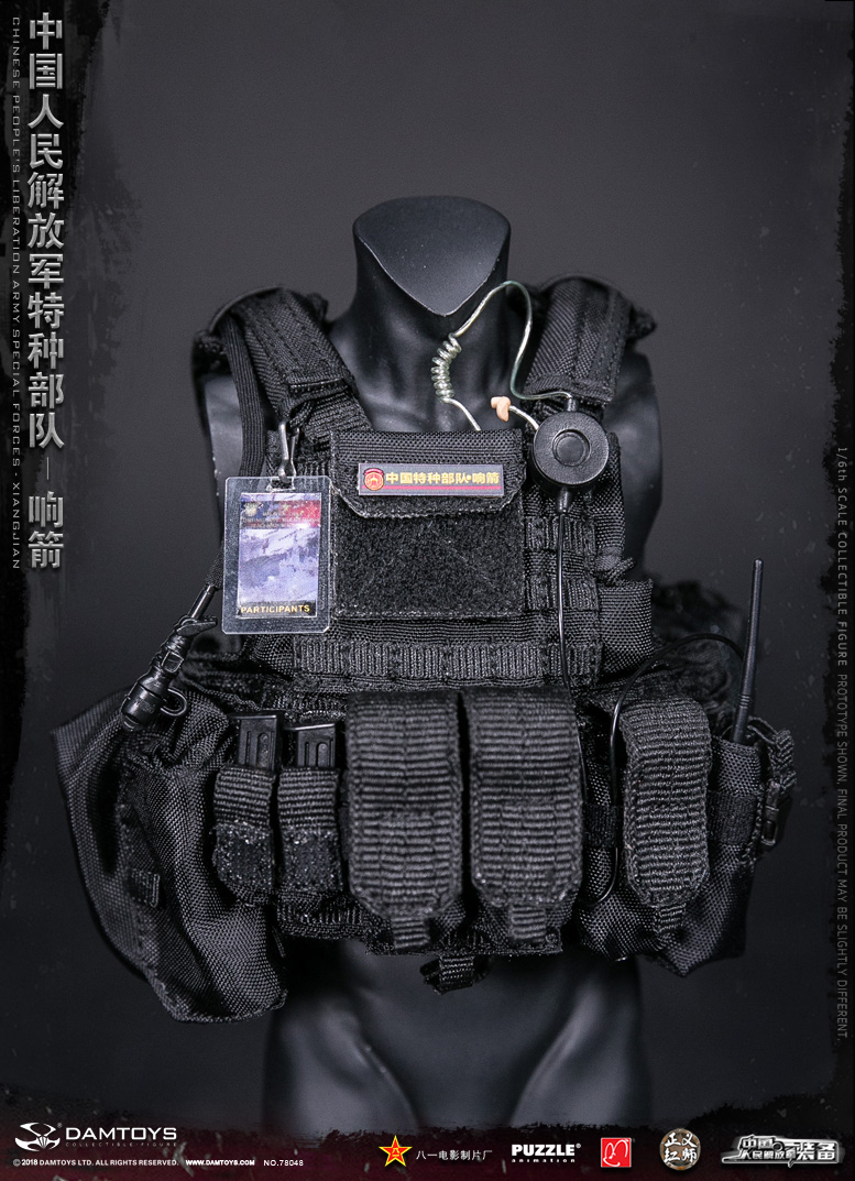 DAM-78048] DAM Toys Chinese People's Liberation Army Special