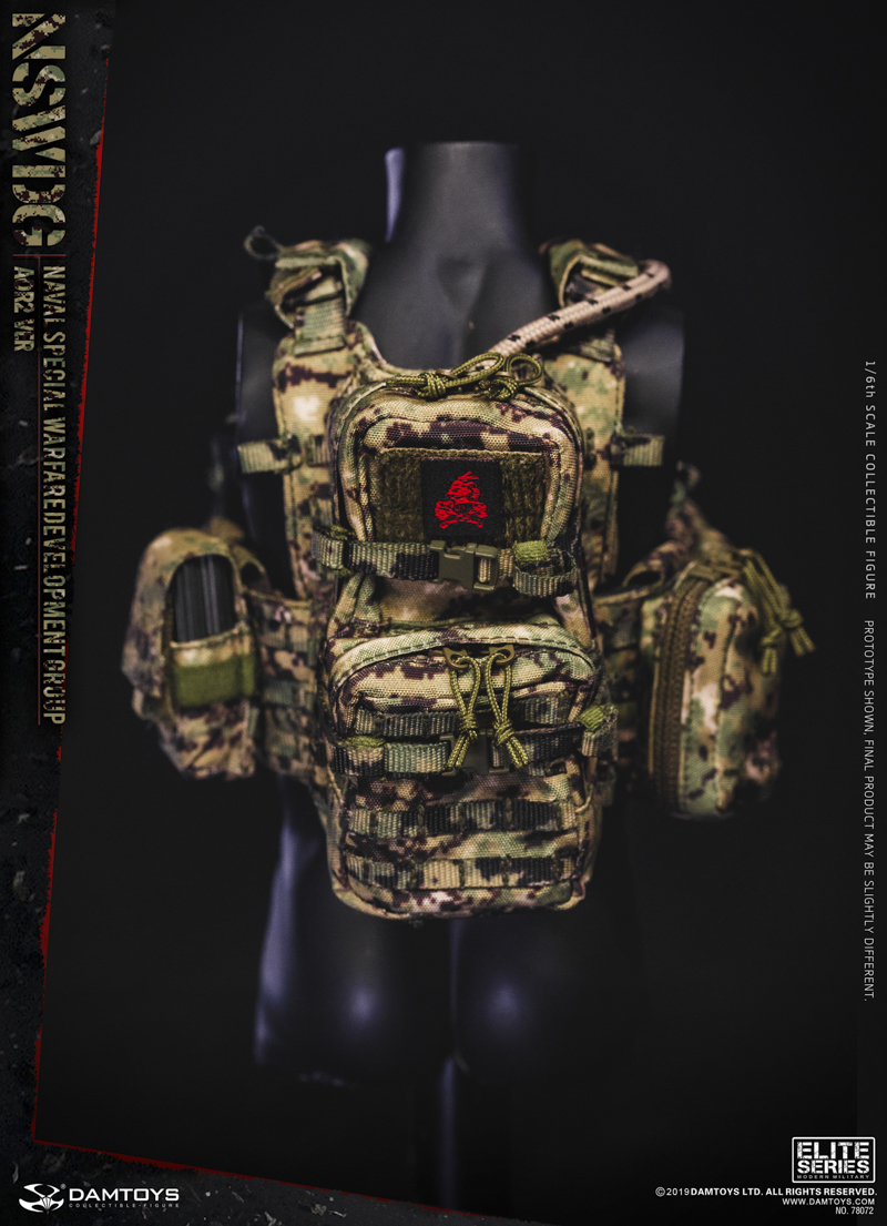 DAM-78072] 1/6 DEVGRU Naval Special Warfare Development Group AOR2