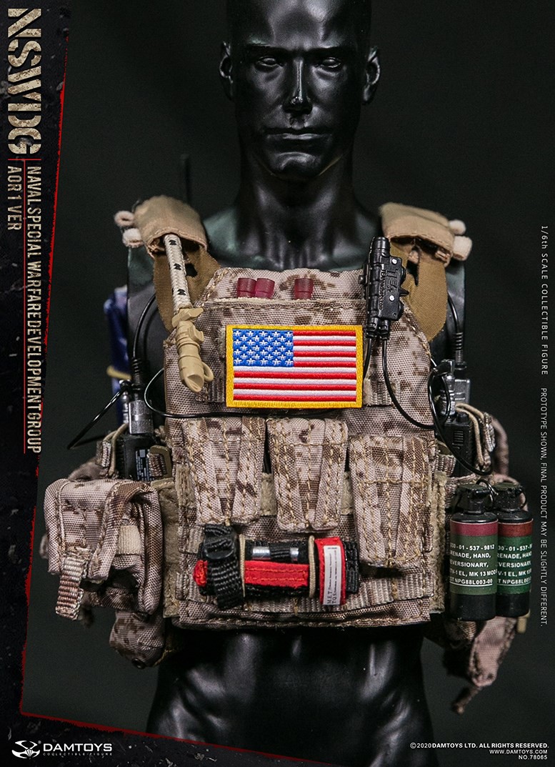 DAM-78065] 1/6 NSWDG NAVAL SPECIAL WARFARE DEVELOPMENT GROUP
