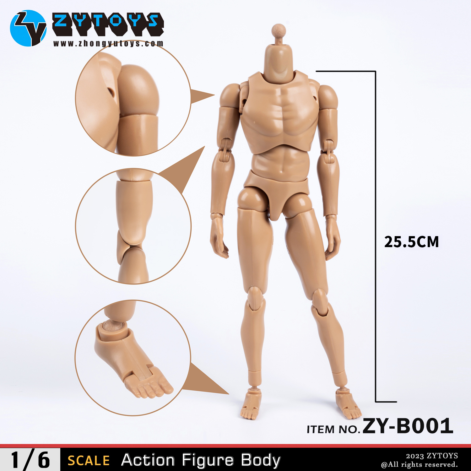 ZY Toys 1/6 New Design Narrow-shouldered Body in Wheat Skin Color