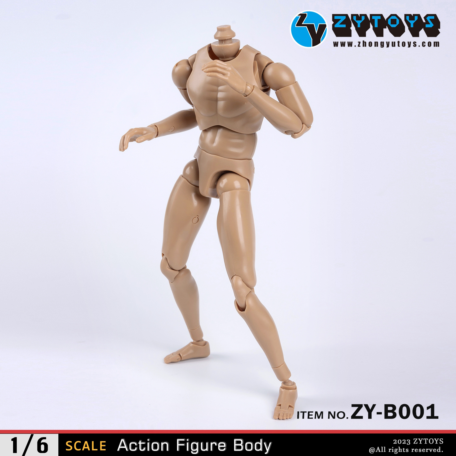ZY Toys 1/6 New Design Narrow-shouldered Body in Wheat Skin Color
