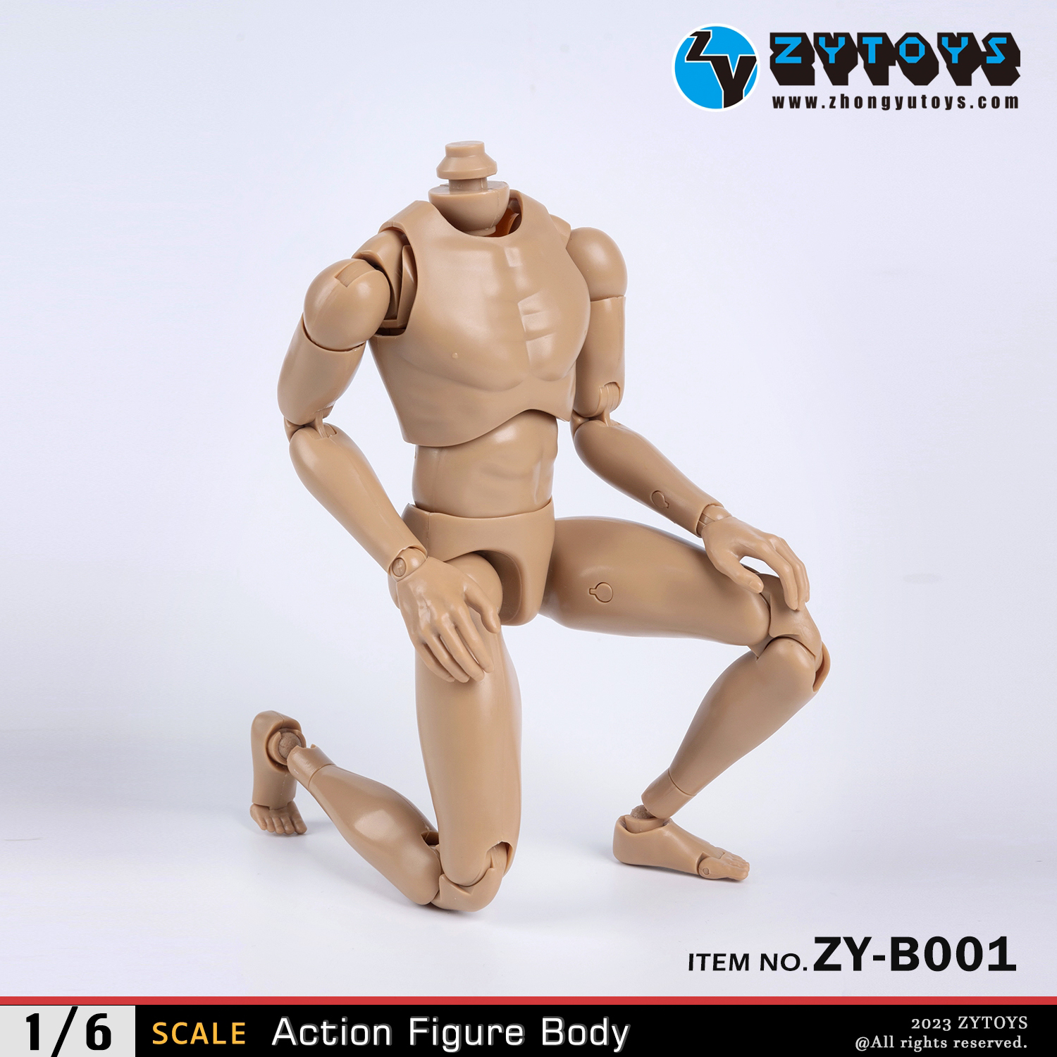 ZY Toys 1/6 New Design Narrow-shouldered Body in Wheat Skin Color