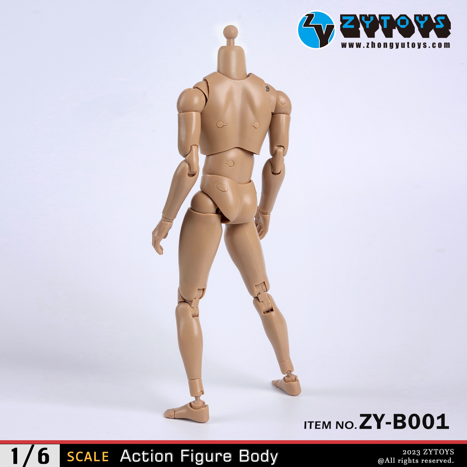 ZY Toys 1/6 New Design Narrow-shouldered Body in Wheat Skin Color
