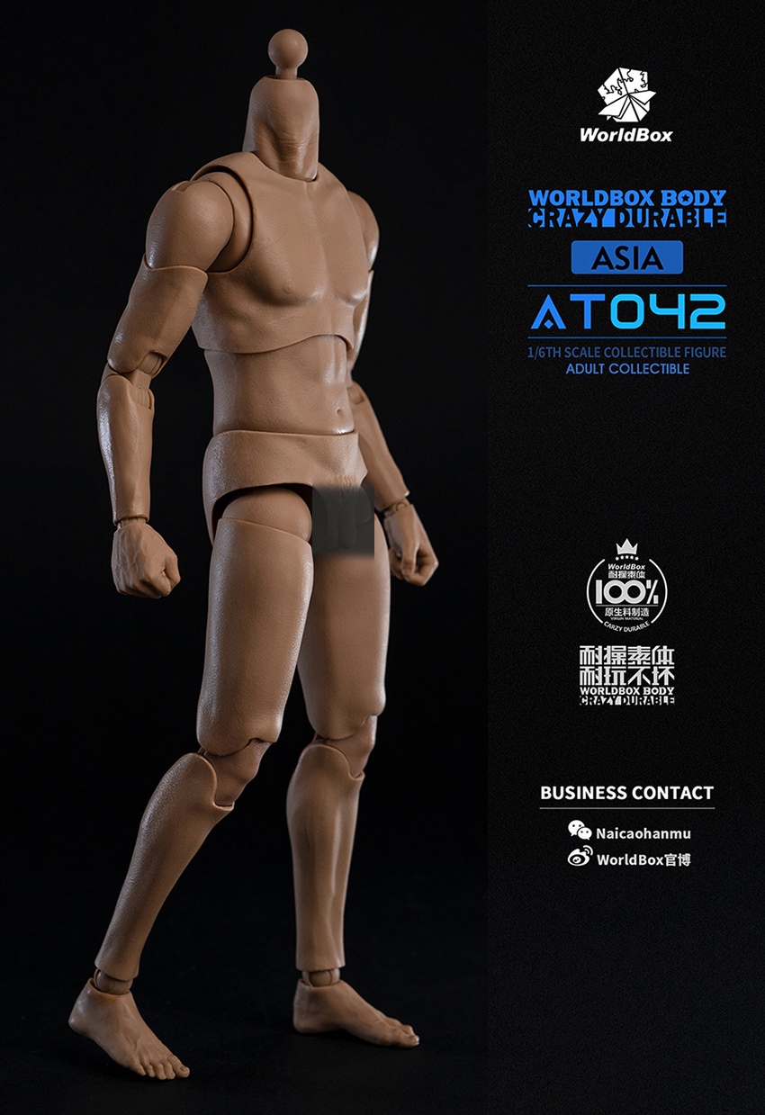 World Box 1/6 Asian Narrow Shoulders Body [WB-AT042] - EKIA Hobbies