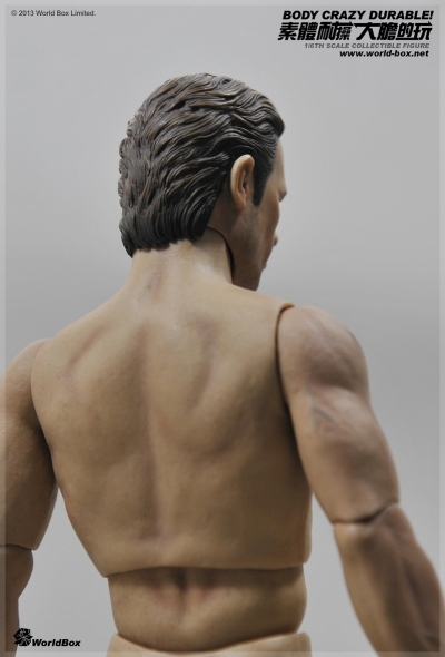WB-AT002] World Box Articulated Male Body with Character
