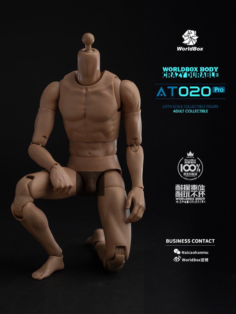 World Box 1/6 Upgrade Universal Action Figure Body [WB-AT020PRO