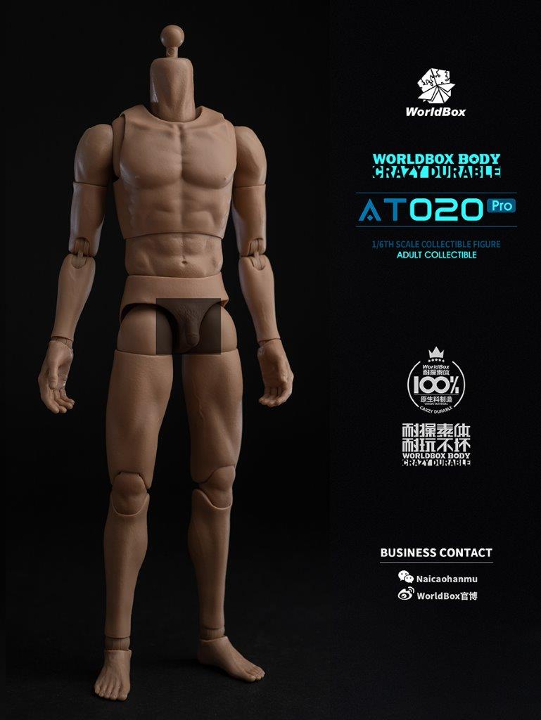 World Box 1/6 Upgrade Universal Action Figure Body [WB-AT020PRO