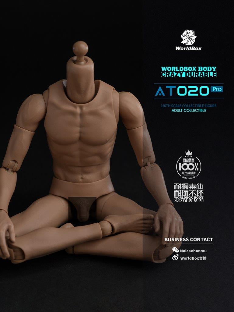 World Box 1/6 Upgrade Universal Action Figure Body [WB-AT020PRO