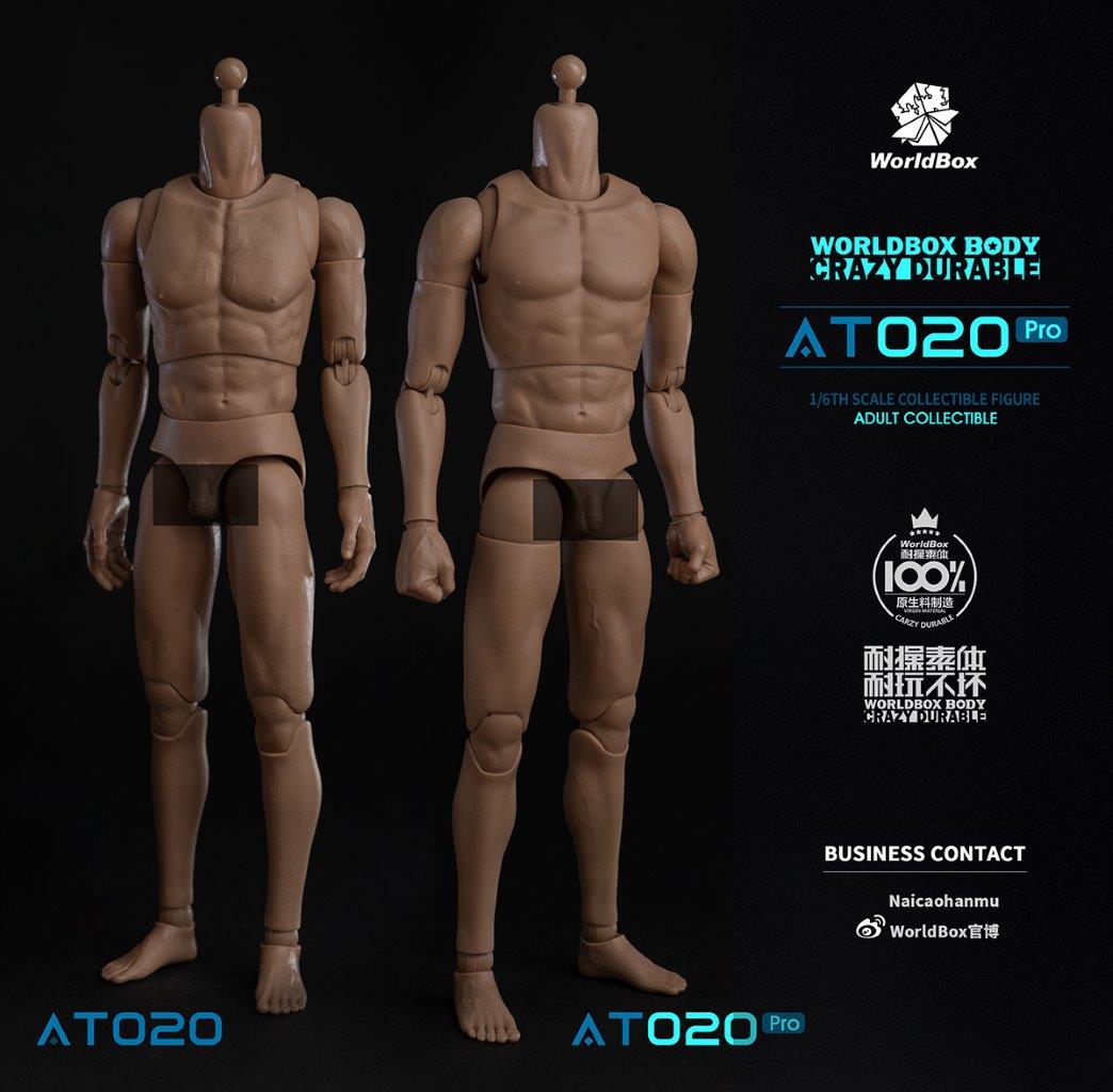 World Box 1/6 Upgrade Universal Action Figure Body [WB-AT020PRO