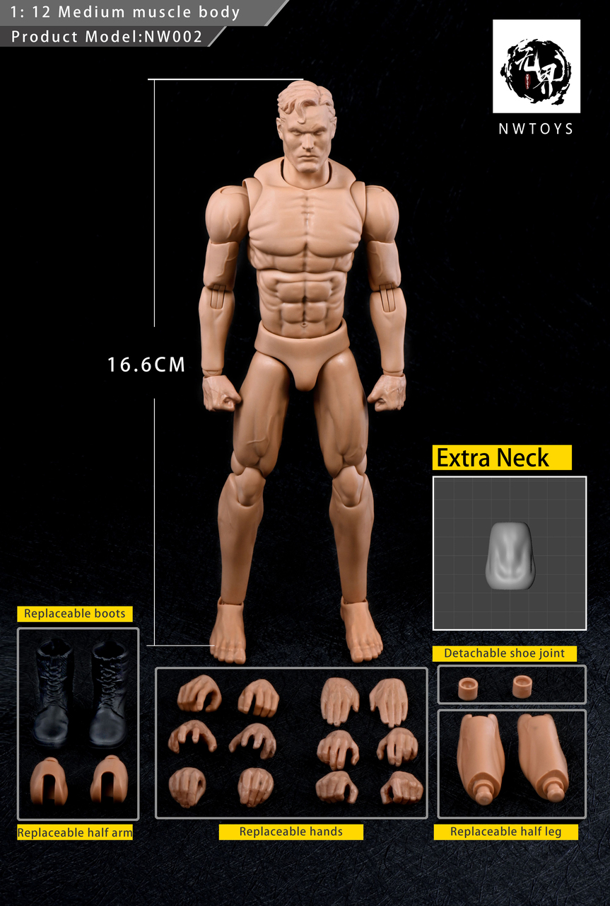 Multi Joint Movable 1/12 Scale Male Body With Neck (LT002)