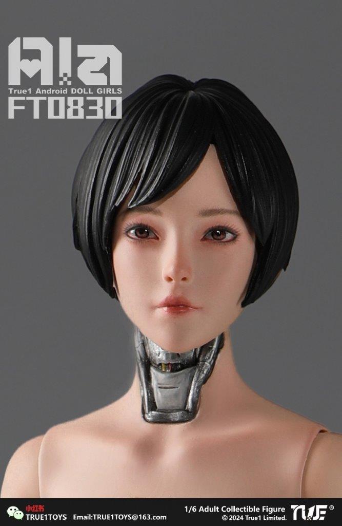 True1Toys 1/6 アンドロイド アラ FT0830 Ala Android Ala FT0830 Cyborg Doll Figure
