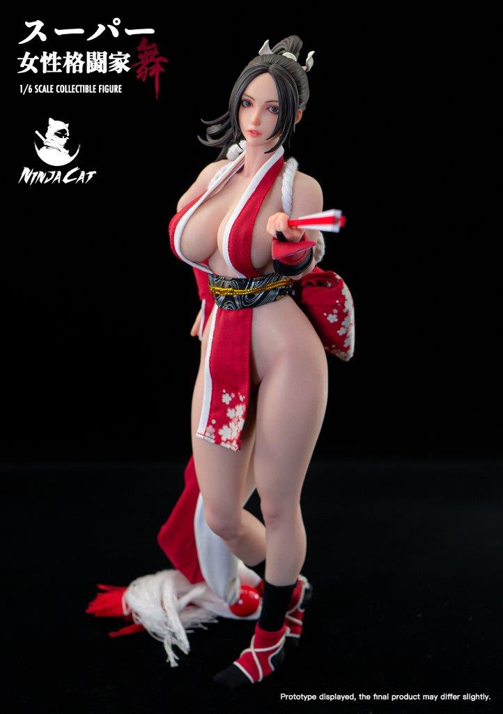 Ninja Cat 1:6 Fighter Mai Collectibles Figure [NIC-N001] - EKIA