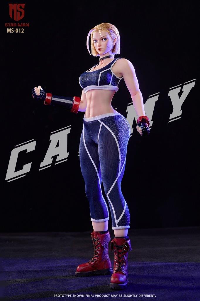 STAR MAN 1/6 女性スパイ ブルービー MS-012 Star Man 1:6 Agent-Blue Bee Street 6 Female Figure [MS-012