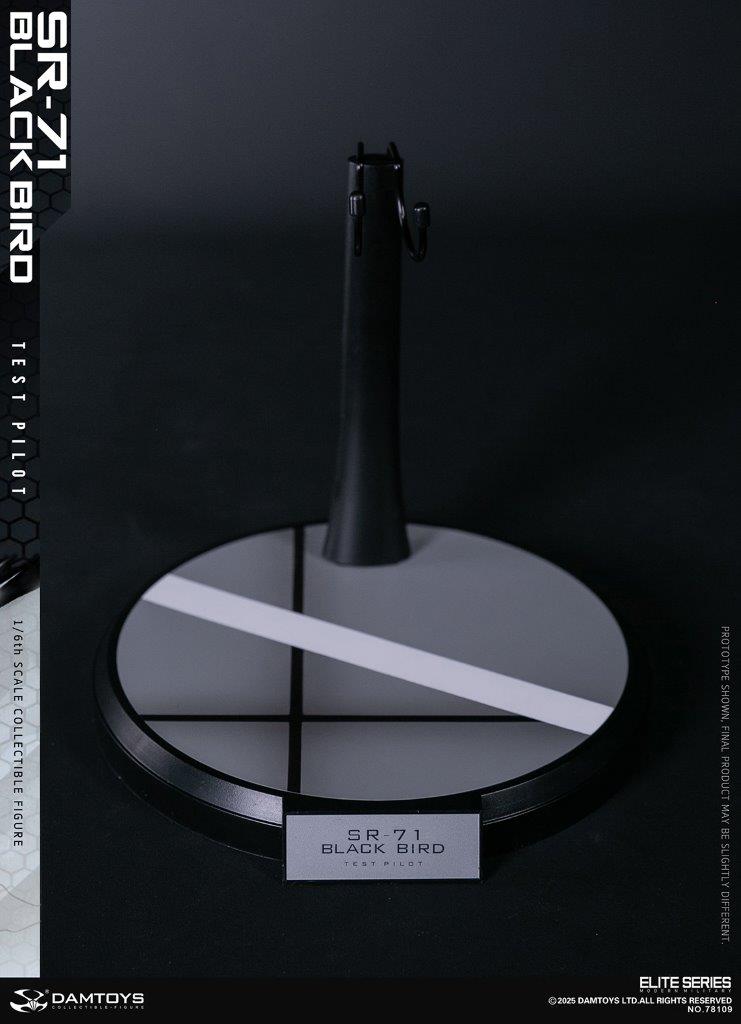 DAM Toys 1/6 SR-71 BLACK BIRD TEST PILOT Action Figure [DAM-78109