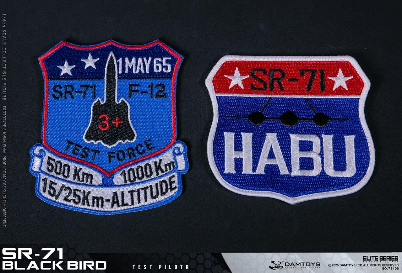 DAM Toys 1/6 SR-71 BLACK BIRD TEST PILOT Action Figure [DAM-78109