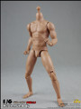 [CM-BD003&91; COO Model Version 2.0 Muscle Male Body 9.8" Height