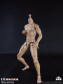 [CM-BD009&91; COO Model 1/6 Muscle Male Body with Skin Color 9.84" Height