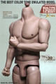 [JXT-S02&91; 1/6 Male Strong Muscular Figure Body by JXtoys