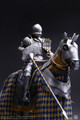 POP Toys 1/6 Gothic Silver Armor Horse [POP-ALS018&91;