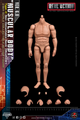 Soldier Story Version 6.0 Type C Muscular Body with Nondetachable Neck [SS-A003&91;