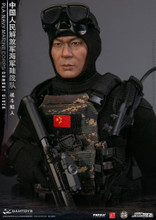 Ready! DAMTOYS DAM 78073 1/6 PLA Navy Marine Corps Combat