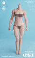 World Box 1/6 Muscular Girl Body Pale [WB-AT206BP&91;