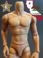 [ZY-B005&91; ZYTOYS Muscular 12" Tall Action Figure Body 