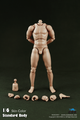 [CM-B34001&91; COO Model Standard Male Body with Narrow Shoulders 9.8" Tall