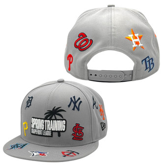 2026 New Era Gray Spring Training Grapefruit League Scattered 9FIFTY Adjustable Snapback Hat
