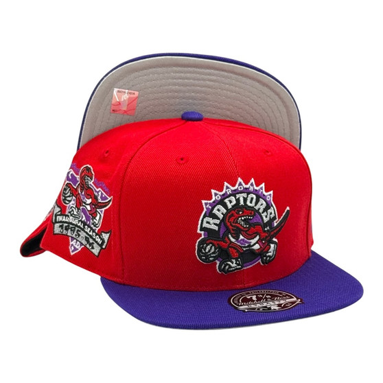 Toronto Raptors Mitchell & Ness Red/Purple With 1995-96 Inaugural Season Patch Fitted Hat