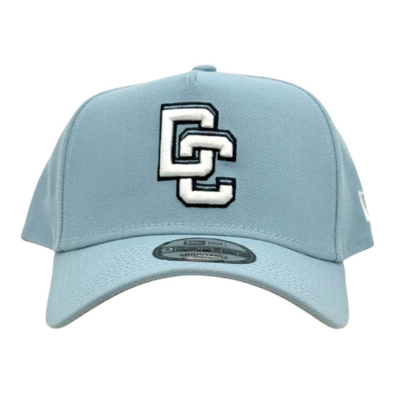 Washington Nationals New Era City Connect All Sky Blue And Gray Bottom 9FORTY A-Frame Adjustable Snapback Hat