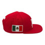 Los Angeles Dodgers Pro Standard Red Basic With Mexican Flag Patch Adjustable Snapback Hat